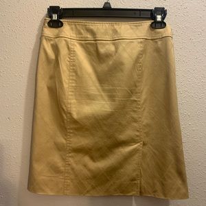 Burberry Skirt